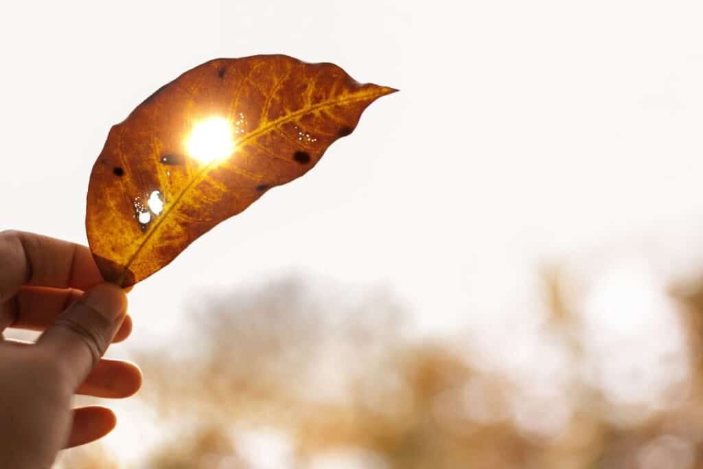 Heatwave in April