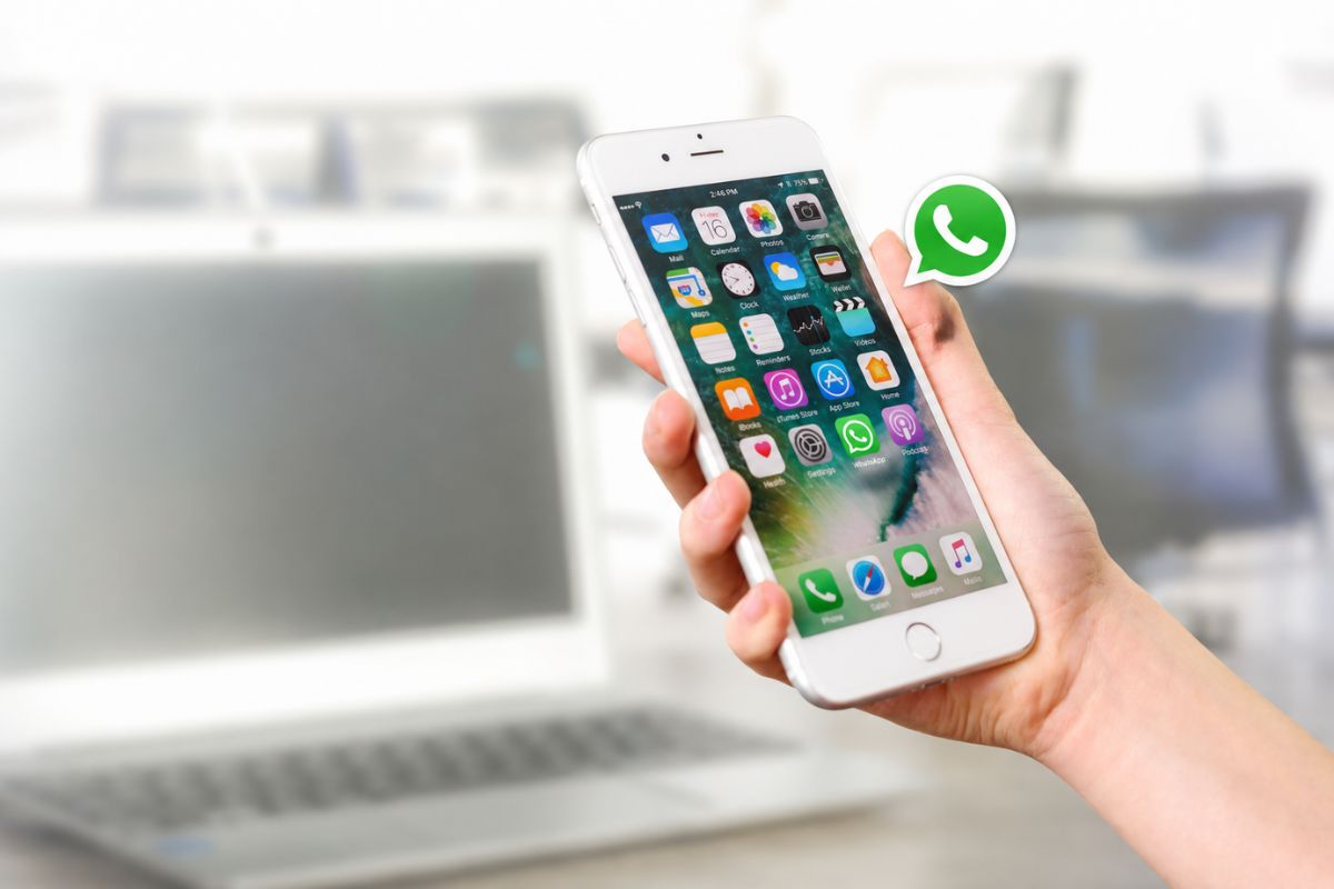 WhatsApp Username Feature